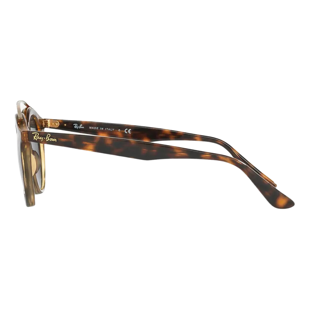 Anteojos De Sol Ray-ban Gatsby I y II Marco Carey RB4256 / RB 4257