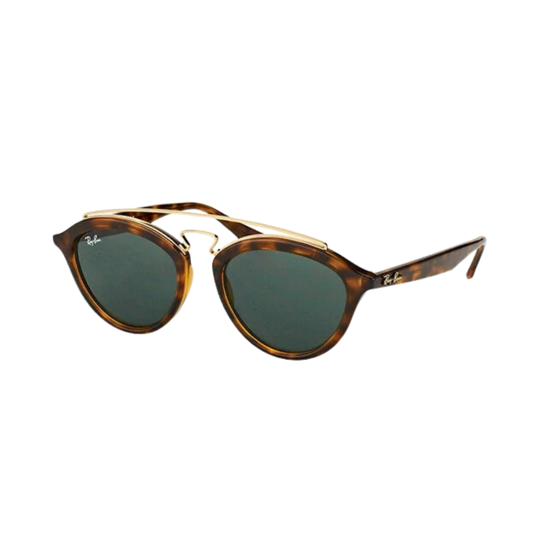 Anteojos De Sol Ray-ban Gatsby I y II Marco Carey RB4256 / RB 4257