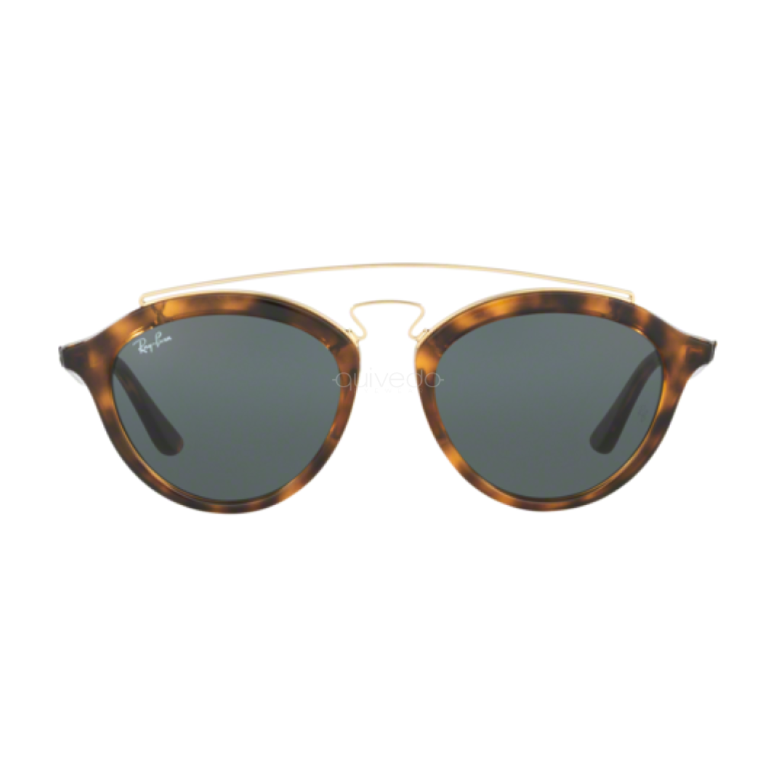 Anteojos De Sol Ray-ban Gatsby I y II Marco Carey RB4256 / RB 4257