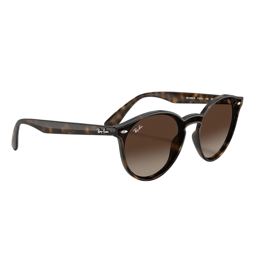Anteojos de Sol Ray Ban BLAZE ROUND CAREY RB 4380 710/13