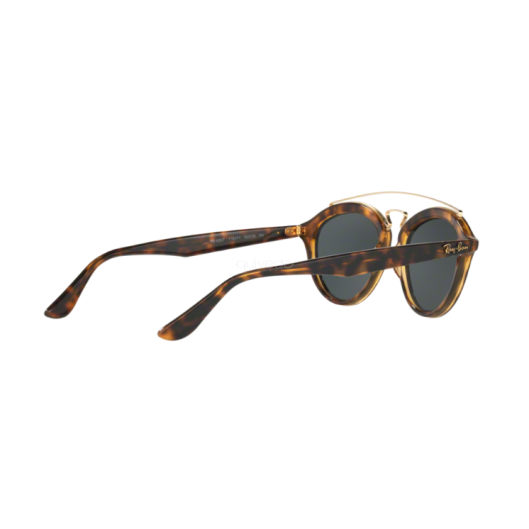 Anteojos De Sol Ray-ban Gatsby I y II Marco Carey RB4256 / RB 4257