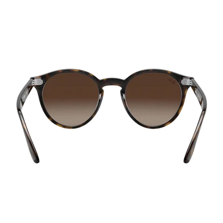 Anteojos de Sol Ray Ban BLAZE ROUND CAREY RB 4380 710/13