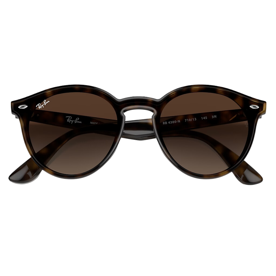 Anteojos de Sol Ray Ban BLAZE ROUND CAREY RB 4380 710/13