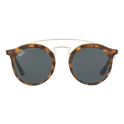 Anteojos De Sol Ray-ban Gatsby I y II Marco Carey RB4256 / RB 4257