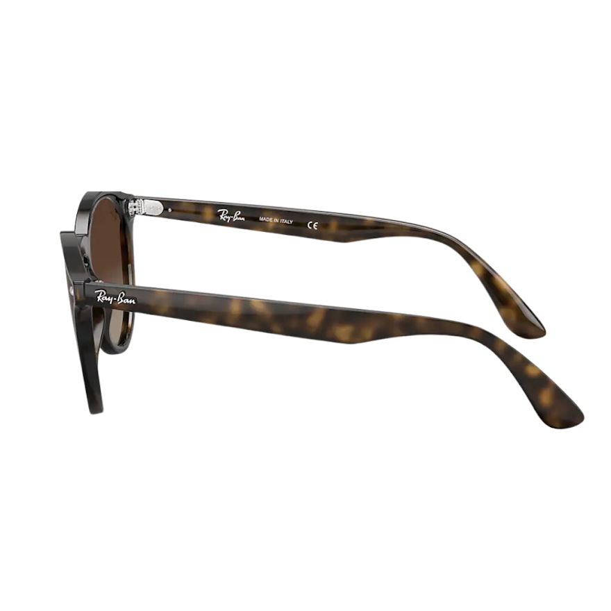 Anteojos de Sol Ray Ban BLAZE ROUND CAREY RB 4380 710/13