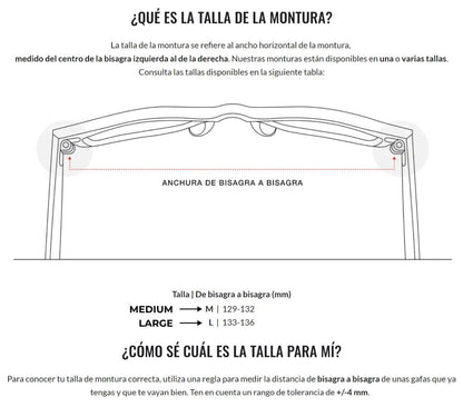 Originalidad de los Lentes RB - Talle