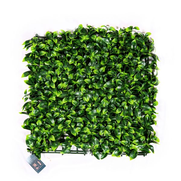 Jardin vertical MIAMI