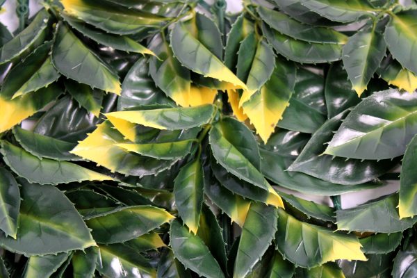 Jardin vertical NEW YORK AMARILLO